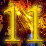El número 11