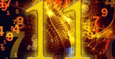 El número 11